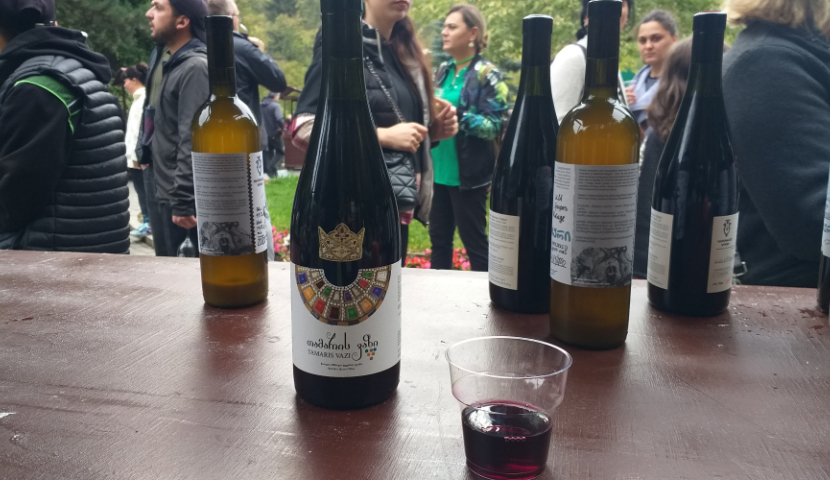 არქეოლოგიური კვლევებით მტკიცდება, რომ საქართველო ღვინის აკვანია" - ესპანური გამოცემა Vinos Y Camino