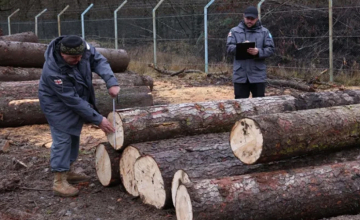 დაბა ბაკურიანში ხე-ტყის უკანონოდ მოპოვების ფაქტი გამოვლინდა