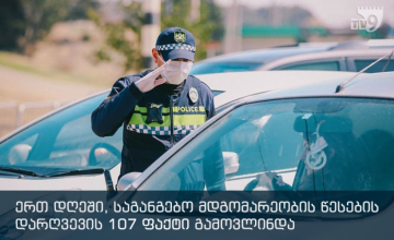ერთ დღეში საგანგებო მდგომარეობის დარღვევის 107 ფაქტი გამოვლინდა