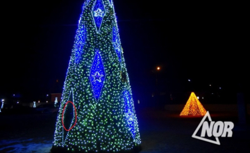 ნინოწმინდაში ნაძვის ხის მოსართავი მოიპარეს