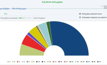 „ქართული ოცნების“ მხარდაჭერა 54.273 %-ს შეადგენს