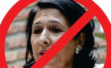 პეტიცია სალომე ზურაბიშვილის წინააღმდეგ