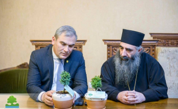 ბზის მოჭრაზე კონტროლი მკაცრდება