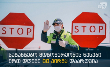 საგანგებო მდგომარეობის წესები ერთ დღეში 88 პირმა დაარღვია
