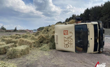 ნინოწმინდა–ჯიგრაშენის გზაზე თივით დატვირთული სატვირთო გადაბრუნდა