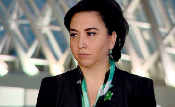 ,,პოლიტიკური აფიორა" - ეკა ბესელია კანონპროექტზე