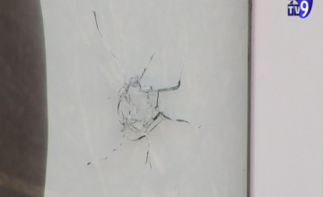 ოპოზიცია: ,,ხელისუფლების მხრიდან ხდება დანაშაულის ჩამდენი პირების წახალისება"