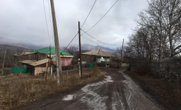 „სოფლის კლინიკაში მარტო თაგვები არიან“ - მოსახლეობა სოფლის ექიმებს ითხოვს