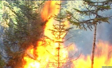 ბორჯომის მოსახლეობა დახმარებას ითხოვს (კადრები შემთხვევის ადგილიდან)