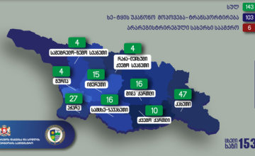 სამცხე-ჯავახეთში ხე-ტყის უკანონოდ მოპოვების 16 ფაქტი გამოვლინდა