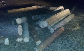 ხე–ტყის უკანონო ტრანსპორტირებისა და გადამუშავების ფაქტები სამცხე–ჯავახეთში