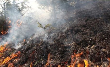 ორფოლოს სასროლეთზე ხანძარია