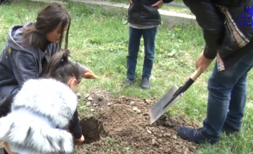  “დარგე შენი ხე და იზრუნე მასზე” – ახალციხის სკოლები გამწვანების აქციაში ჩაერთვნენ