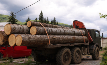 ივლისში, სამცხე-ჯავახეთში ხე-ტყის უკანონოდ მოპოვების 6 ფაქტი გამოვლინდა