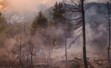  ხანძრის ყველაზე რთული კერა არდაგანშია