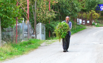 Միգրացիա – գյուղ Սխվիլիսիի հիմնական խնդիրը