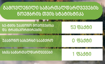 სამცხე-ჯავახეთში ხე-ტყის უკანონოდ მოპოვების 5 ფაქტი გამოვლინდა