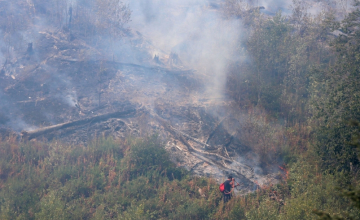 “ბორჯომის ხეობაში ხანძარი სრულად ლიკვიდირებულია” – შს მინისტრი 