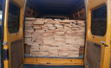 ხე-ტყის უკანონოდ მოპოვების და  ყალბი სასაქონლო ზედნადებების დამზადების ფაქტზე ერთი პირია დაკავებული 