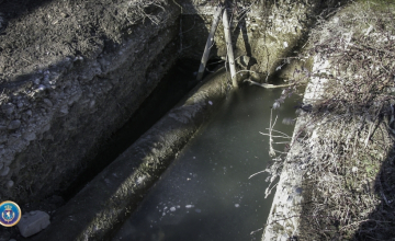 ფინანსთა სამინისტრომ სახელმწიფო ქონების დაუფლების ბრალდებით კომპანიის დირექტორი დააკავა  