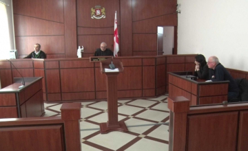 სოფიო შევჩენკო სამსახურში აღდგენას და განაცდურის ანაზღაურებას ითხოვს