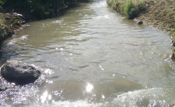 ასპინძაში, 12 წლის ბიჭს, მაშველები მტკვარში ეძებენ