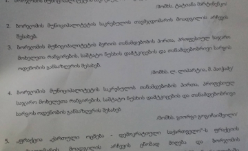 გიორგი გოგიჩაიშვილი საკრებულოს თავმჯდომარე გახდა