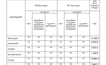 "ბიუჯეტი ვისიმეს ჯიბის ქისა არ არის" – საკრებულოს დეპუტატი
