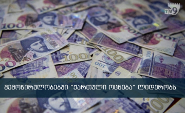 პარტიებმა 6 თვეში შვიდმილიონიანი შემოწირულება მიიღეს