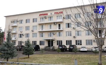 გარდაცვლილი მედდის ოჯახს საქმის მასალებზე სრული წვდომა ექნება - პროკურატურა