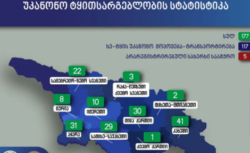 Սամցխե-Ջավախեթիում ապօրինի ծառահատման 29 դեպք է բացահայտվել