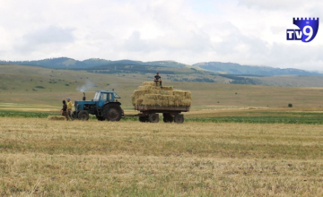 «Քաղաքացիները կարող են անվճար օրինականացնել հողատարածքները».