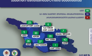 Ապօրինի ծառահատման դեպքեր Սամցխե-Ջավախքում