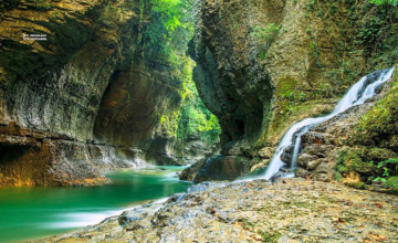 საქართველოს ეროვნულ პარკებში სამუშაო საათები იცვლება