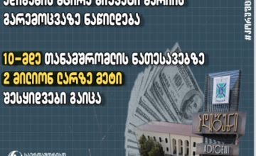 ადიგენის მერიასთან დაკავშირებულმა 15-მა პირმა შესყიდვებით 2 მილიონ ლარზე მეტი მიიღო - TI