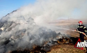 Գորելովկայում կրկին խոտ է այրվել, այս անգամ՝ 1200 հակ