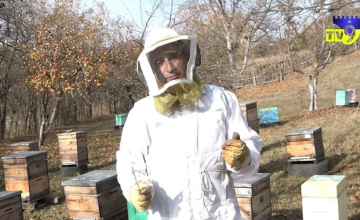"ევროპაში თაფლის გაყიდვების არხი ჩაგვეკეტება" - მესხი ფერმერი