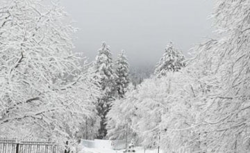 Ձյան պատճառով Վրաստանի որոշ մասում արգելվել է երթևեկությունը