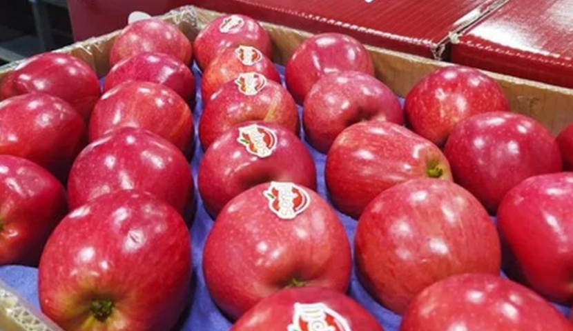 თურქულ ვაშლზე მოთხოვნამ იმატა - რამდენს ყიდულობს საქართველო