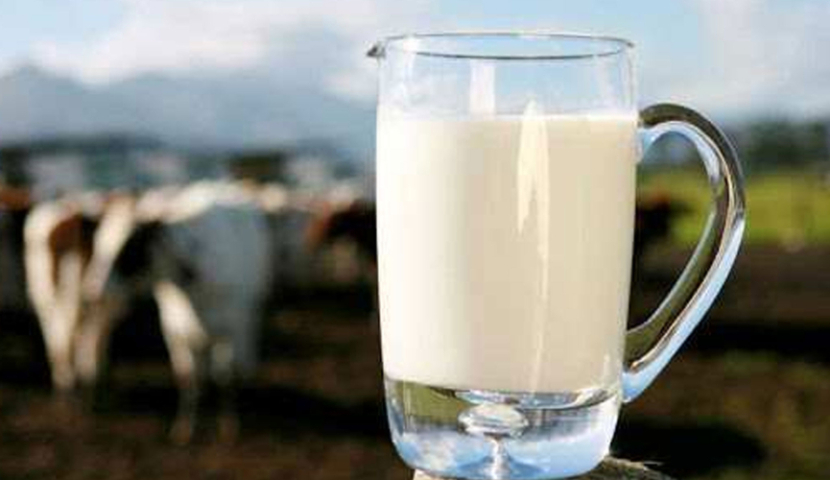 ზამთარში ნედლი რძე კიდევ გაძვირდება - ,,ყვარლის ბაგა“