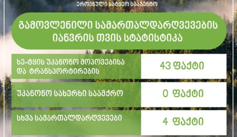 სამცხე-ჯავახეთში ხე-ტყის უკანონოდ მოპოვების 10 ფაქტი გამოვლინდა