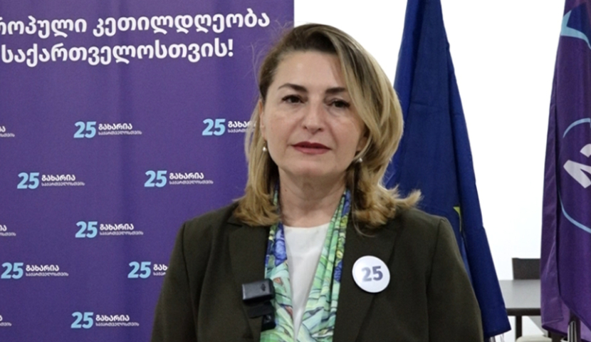 მოქალაქეობასთან დაკავშირებული პრობლემები - სოფიო ხორგუანის ბრიფინგი